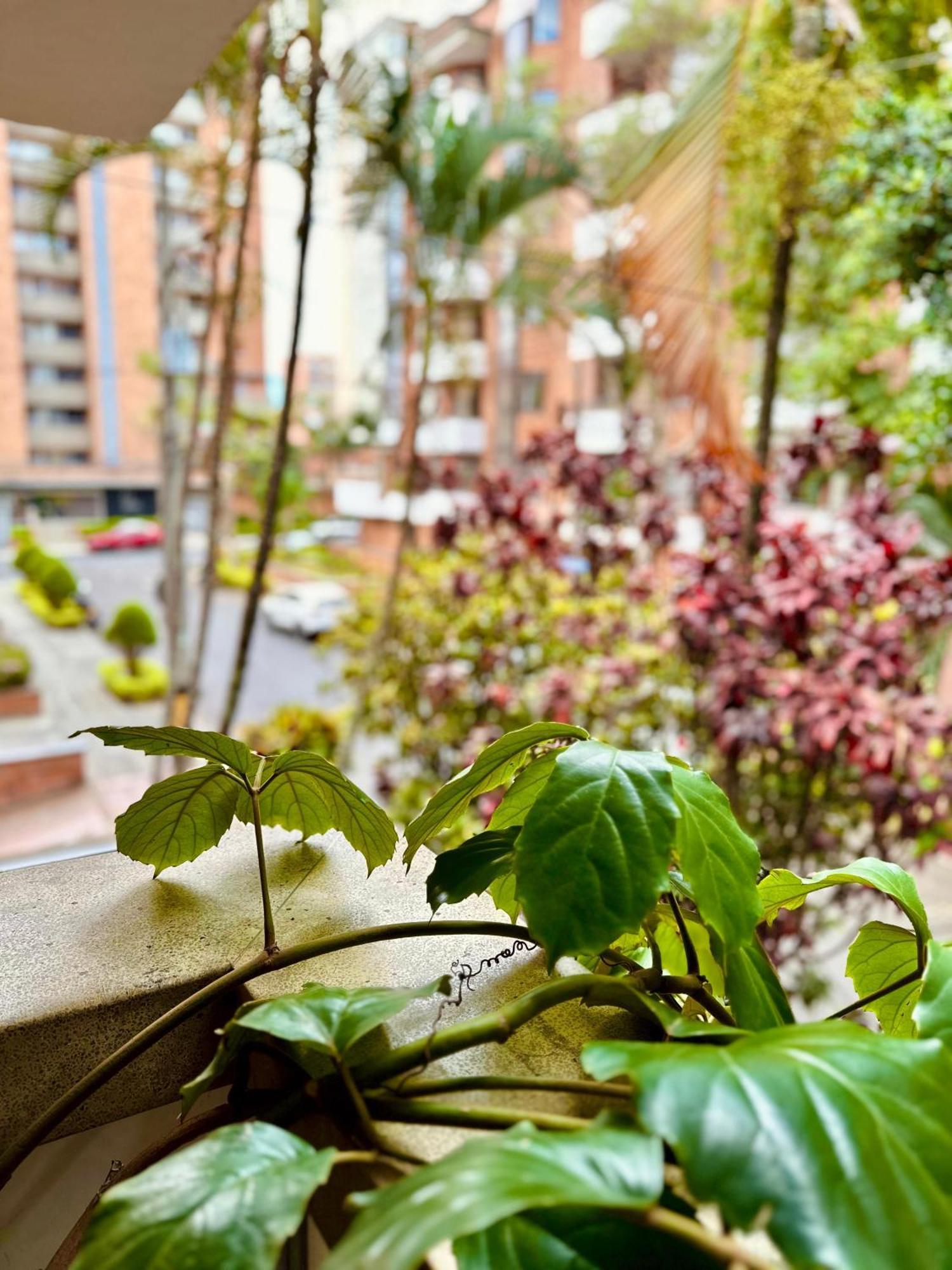 Hotel Boutique Fiorentina Medellín Exterior foto